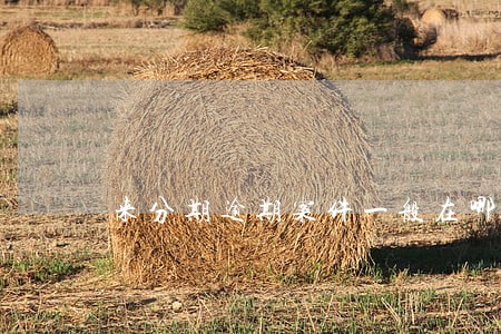 来分期逾期案件一般在哪儿诉讼 来分期逾期案件一般在哪儿诉讼