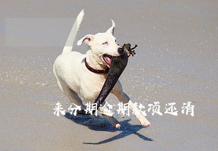 来分期逾期款项还清 来分期逾期款项还清