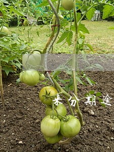 来分期逾期没有催收了 来分期逾期没有催收了