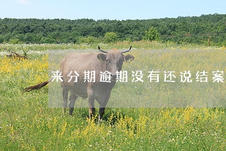 来分期逾期没有还说结案处理 来分期逾期没有还说结案处理