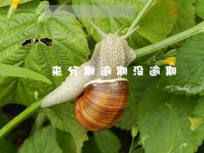 来分期逾期没逾期 来分期逾期没逾期