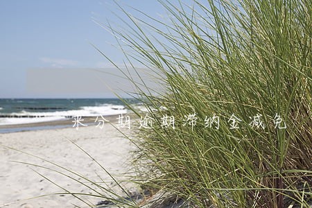 来分期逾期滞纳金减免 来分期逾期滞纳金减免