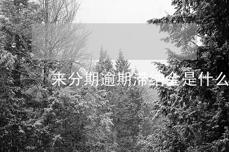 来分期逾期滞纳金是什么