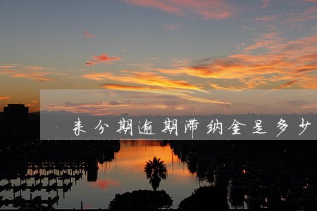 来分期逾期滞纳金是多少