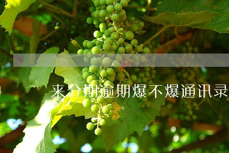 来分期逾期爆不爆通讯录 来分期逾期爆不爆通讯录