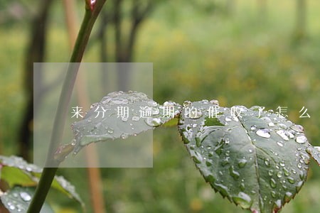 来分期逾期的催收了怎么办 来分期逾期的催收了怎么办