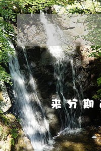 来分期逾期的滞纳金是什么 来分期逾期的滞纳金是什么