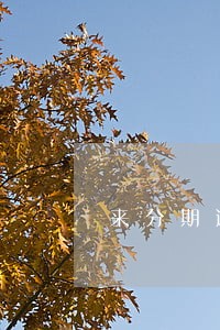 来分期逾期的账单在哪里查询 来分期逾期的账单在哪里查询
