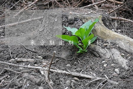 来分期逾期立案标准 来分期逾期立案标准