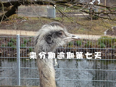 来分期逾期第七天 来分期逾期第七天