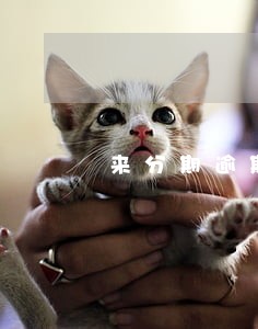 来分期逾期经常打电话催 来分期逾期经常打电话催