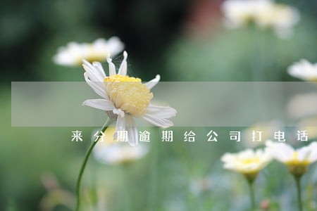 来分期逾期给公司打电话 来分期逾期给公司打电话