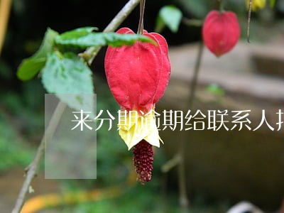 来分期逾期给联系人打电话 来分期逾期给联系人打电话