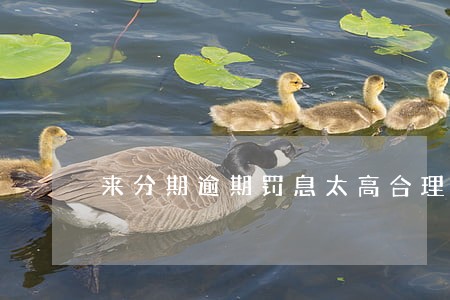 来分期逾期罚息太高合理吗 来分期逾期罚息太高合理吗