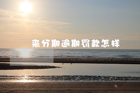 来分期逾期罚款怎样 来分期逾期罚款怎样