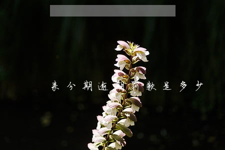 来分期逾期罚款是多少 来分期逾期罚款是多少