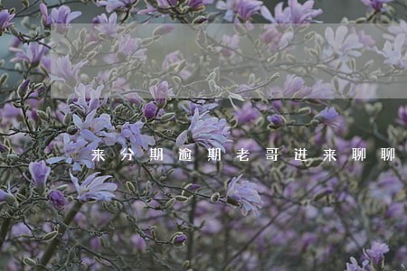 来分期逾期老哥进来聊聊 来分期逾期老哥进来聊聊