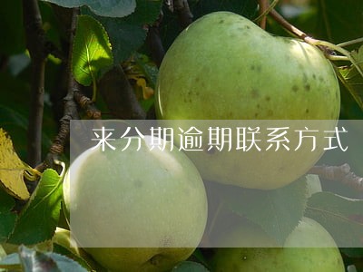 来分期逾期联系方式 来分期逾期联系方式