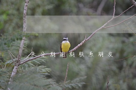来分期逾期联系朋友 来分期逾期联系朋友