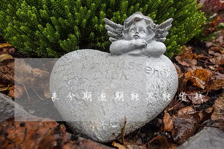 来分期逾期能不能借钱 来分期逾期能不能借钱