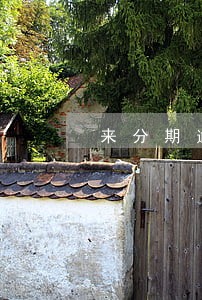 来分期逾期能恢复征信吗 来分期逾期能恢复征信吗