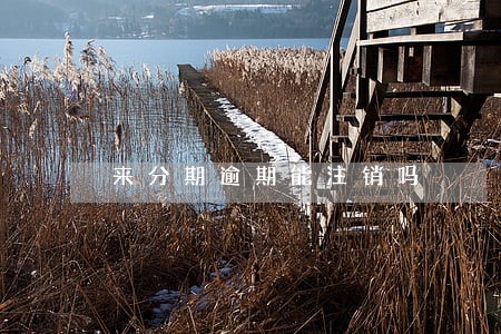 来分期逾期能注销吗 来分期逾期能注销吗