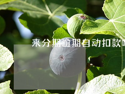 来分期逾期自动扣款吗 来分期逾期自动扣款吗