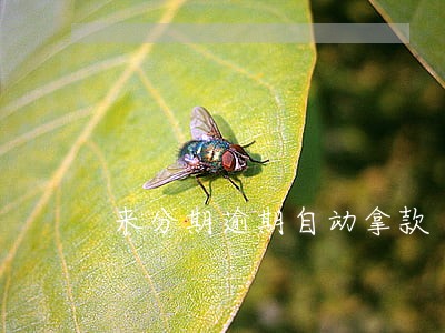 来分期逾期自动拿款 来分期逾期自动拿款