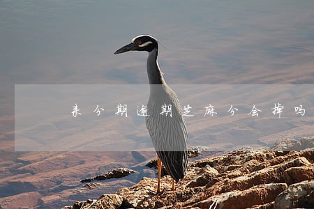 来分期逾期芝麻分会掉吗 来分期逾期芝麻分会掉吗