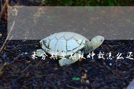 来分期逾期被仲裁怎么还款 来分期逾期被仲裁怎么还款