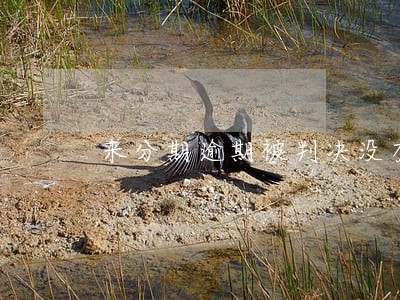 来分期逾期被判决没有钱还 来分期逾期被判决没有钱还