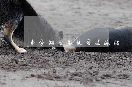 来分期逾期被司法冻结 来分期逾期被司法冻结