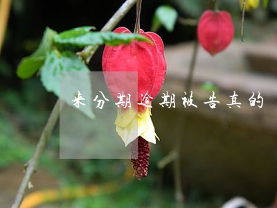 来分期逾期被告真的 来分期逾期被告真的