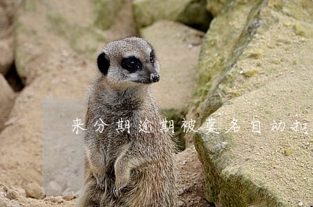 来分期逾期被莫名自动扣款 来分期逾期被莫名自动扣款