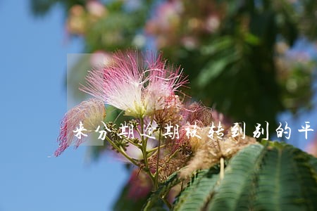 来分期逾期被转到别的平台 来分期逾期被转到别的平台