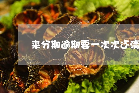 来分期逾期要一次次还清吗 来分期逾期要一次次还清吗