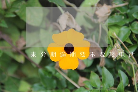 来分期逾期要不要接电话 来分期逾期要不要接电话