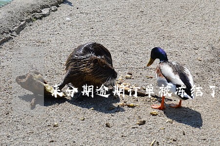 来分期逾期订单被冻结了 来分期逾期订单被冻结了