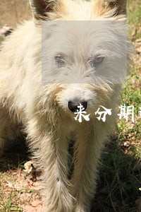 来分期逾期记录多久消除 来分期逾期记录多久消除