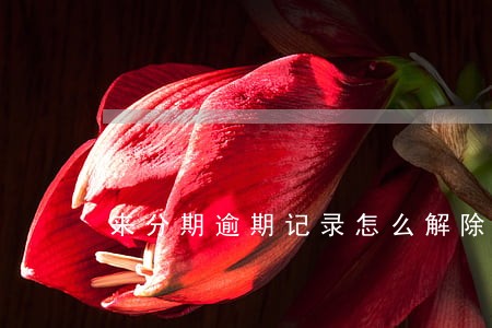 来分期逾期记录怎么解除 来分期逾期记录怎么解除