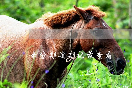 来分期逾期记录查看
