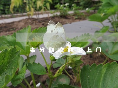 来分期逾期说上门 来分期逾期说上门