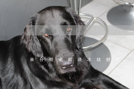 来分期逾期说冻结财产 来分期逾期说冻结财产