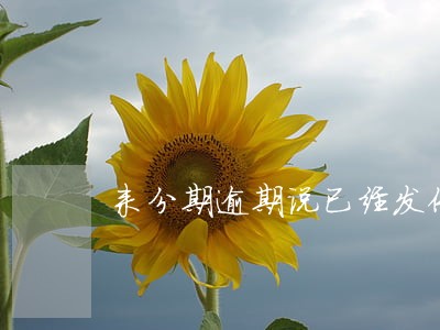 来分期逾期说已经发传票 来分期逾期说已经发传票