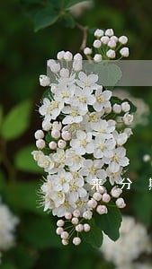来分期逾期说立案寄了邮件 来分期逾期说立案寄了邮件