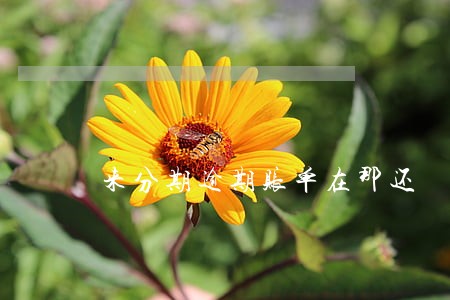 来分期逾期账单在那还 来分期逾期账单在那还