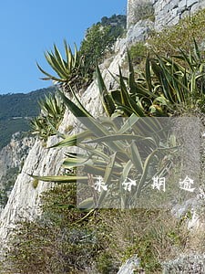 来分期逾期费合理吗 来分期逾期费合理吗