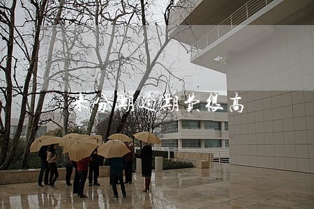 来分期逾期费很高 来分期逾期费很高
