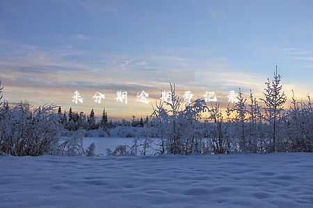 来分期逾期费记录 来分期逾期费记录