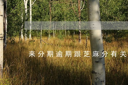 来分期逾期跟芝麻分有关系吗 来分期逾期跟芝麻分有关系吗